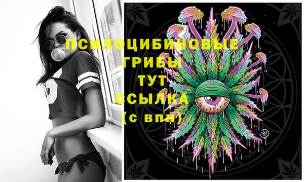 бошки Нягань