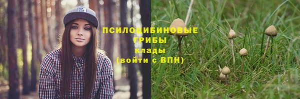 бошки Нягань