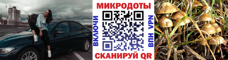 сколько стоит  Рассказово  Галлюциногенные грибы мухоморы 