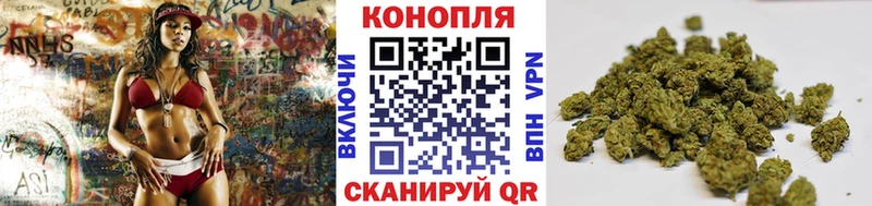 Бошки Шишки Amnesia  Рассказово 
